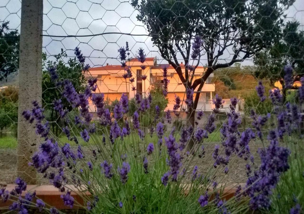 Casa Vacanza Demetra Marina di Fuscaldo Exterior photo